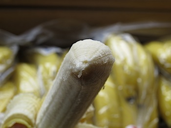 dole_banana_030802.JPG