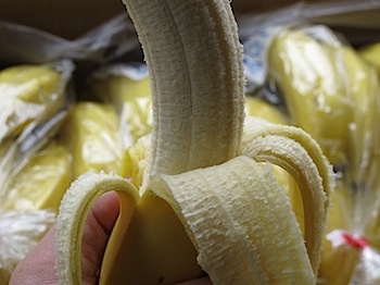 dole_banana_030803.JPG