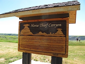 horse_thief_canyon_6068.JPG