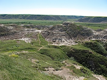 horse_thief_canyon_6074.JPG