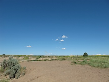 horse_thief_canyon_6077.JPG