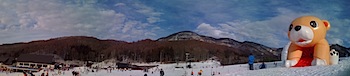 iphone_photo_032030.JPG