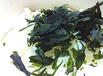 momi_wakame_2438.JPG