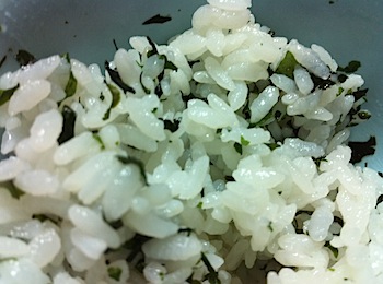 momi_wakame_2439.JPG