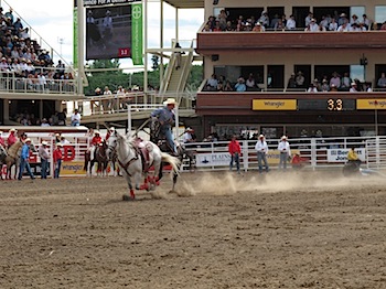 rodeo_6792.JPG