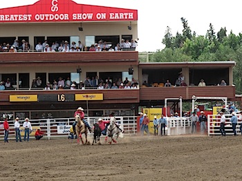 rodeo_6793.JPG