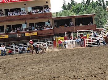 rodeo_6796.JPG