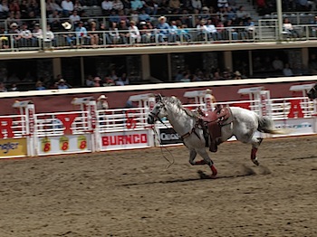 rodeo_6800.JPG