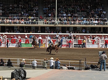 rodeo_6806.JPG