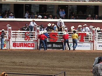 rodeo_6807.JPG