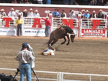 rodeo_6808.JPG