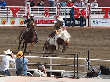 rodeo_6810.JPG