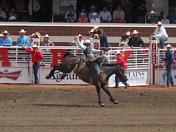 rodeo_6811.JPG