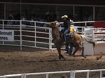 rodeo_6820.JPG