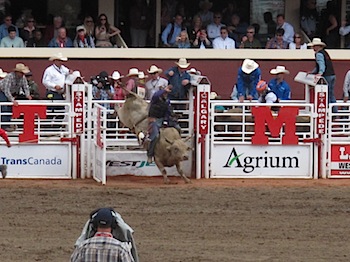 rodeo_6821.JPG