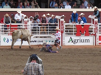 rodeo_6822.JPG