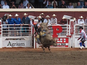 rodeo_6825.JPG