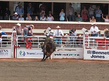 rodeo_6826.JPG