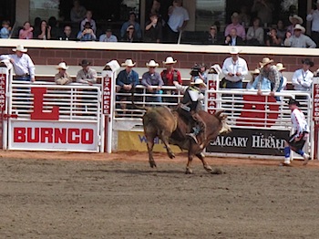 rodeo_6827.JPG