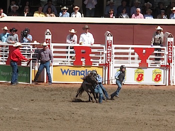 rodeo_6828.JPG