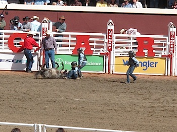 rodeo_6829.JPG