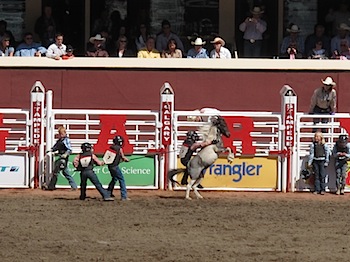 rodeo_6831.JPG