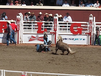 rodeo_6832.JPG