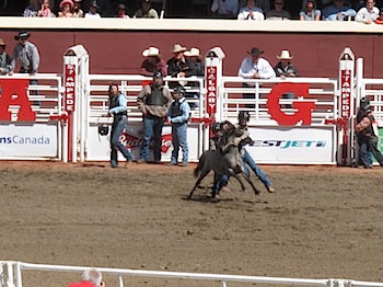 rodeo_6833.JPG