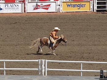 rodeo_6834.JPG