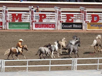 rodeo_6836.JPG