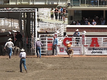 rodeo_6837.JPG