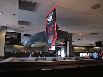 shark_club_6392.JPG