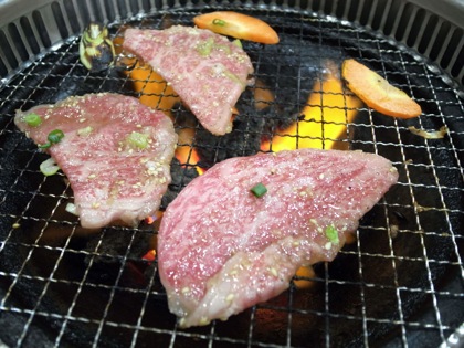 Uguisudanien 12829