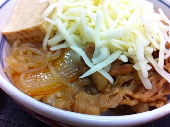 Yoshinoya 8028