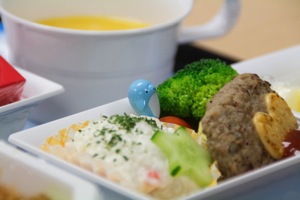 ANA kids menu 2444