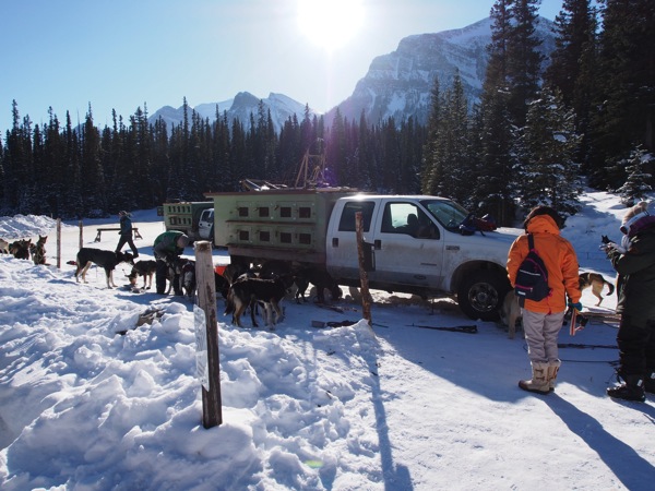 Canada banff a 0361