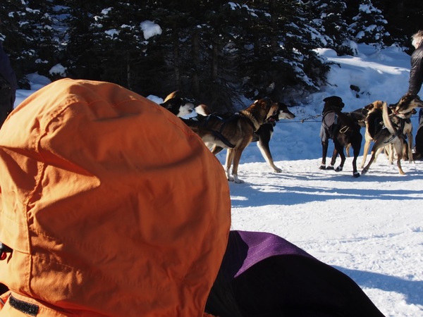 Canada banff a 0386