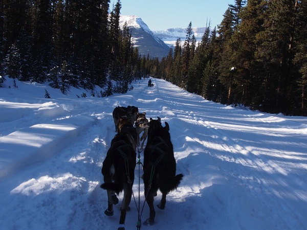 Canada banff a 0396