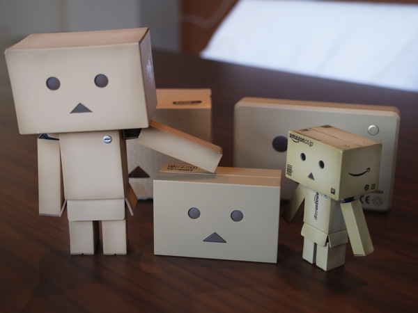 Danboard 5411