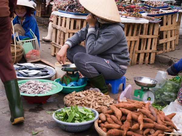 Hoian14357