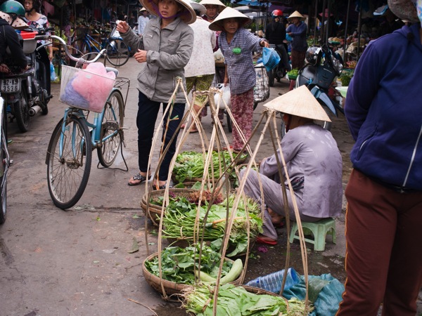 Hoian14359