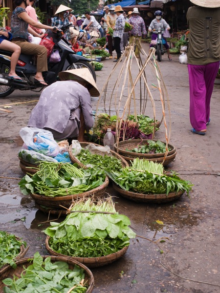 Hoian14397