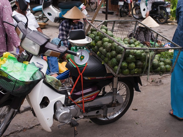 Hoian14398