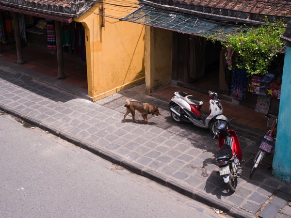 Hoian14435