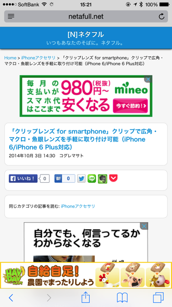 Iphone safari 4520