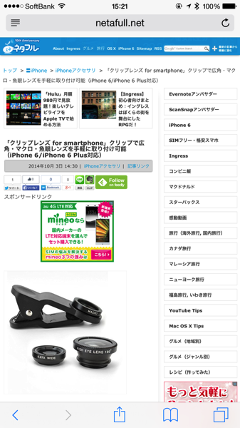 Iphone safari 4523