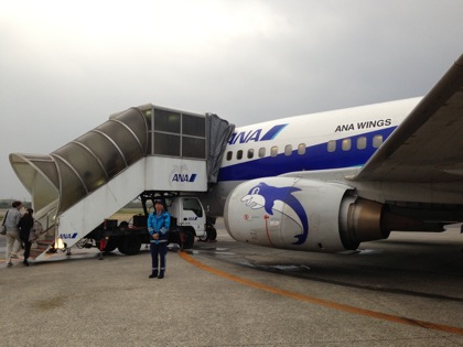 Ishigaki airport 6256