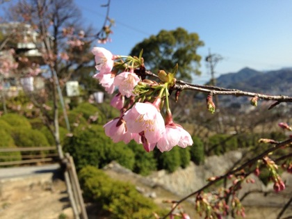 Onomichi 7488