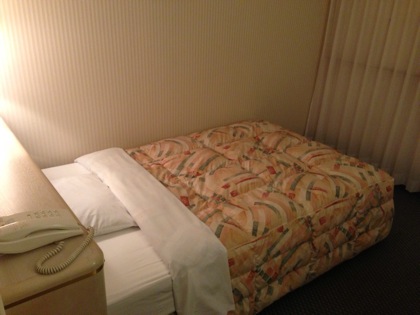 Tottori hotel 4184