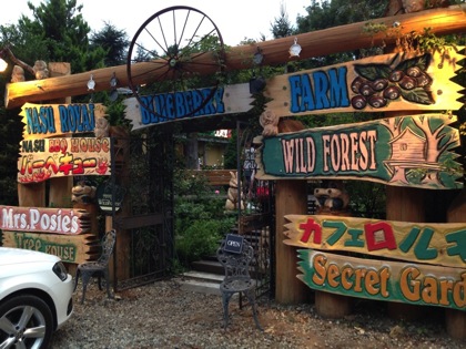 Wildforest 2343